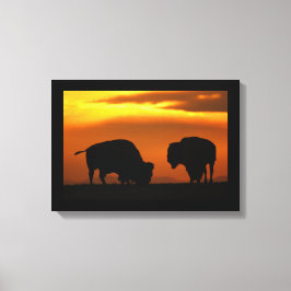 Impressão Em Tela pôr do sol bison