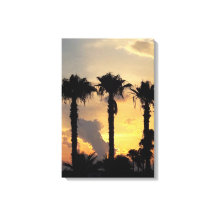 Pôr do sol cipriota em Limassol – Palmeiras Medite
