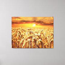 Pôr do Sol e Campo de Trigo