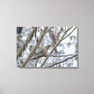 Impressão Em Tela Porta de luto