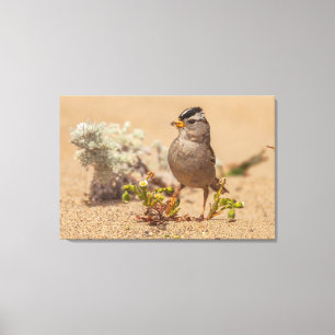 Impressão Em Tela Posologia