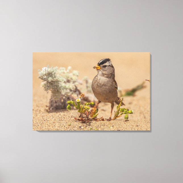 Impressão Em Tela Posologia (Frente)