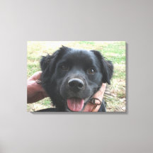 Posse de fumo para a câmera