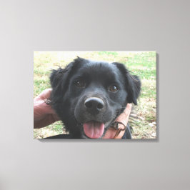 Impressão Em Tela Posse de fumo para a câmera