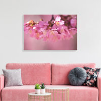 Poster de Cherry Blossoms Primavera 2012