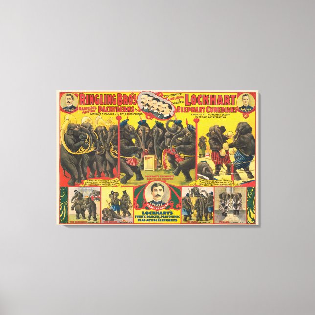 Impressão Em Tela Poster de Circo de Elefantes (Frente)