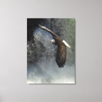Poster de Foto Selvagem de Raptor de Águia Balda