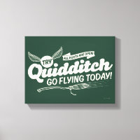POSTER DE Recrutamento QUIDDITCH™