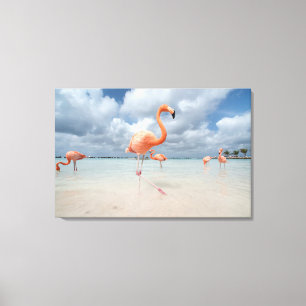 Impressão Em Tela Praia Aruba dos flamingos