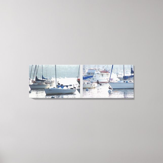 Impressão Em Tela Praia de Animais Selvagens de Aves Pelicanas (Frente)