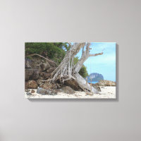 praia de arenito tropical
