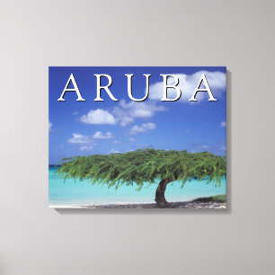 Impressão Em Tela Praia do Águia   Caribe, Aruba
