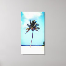 Praia Palm Tree
