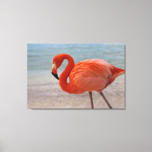 Impressão Em Tela Praias Tropicais Caribe Flamingo, Aruba