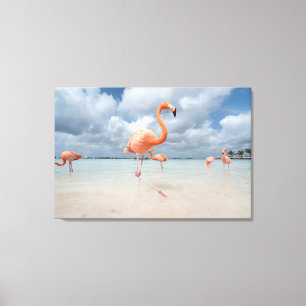 Impressão Em Tela Praias Tropicais   Flamingos Beach, Aruba