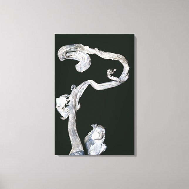 Impressão Em Tela Prata nativa (Frente)