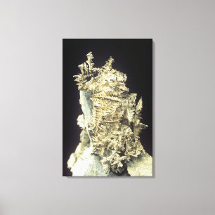 Impressão Em Tela Prata Nativa (Ag) sobre calcário, Canadá