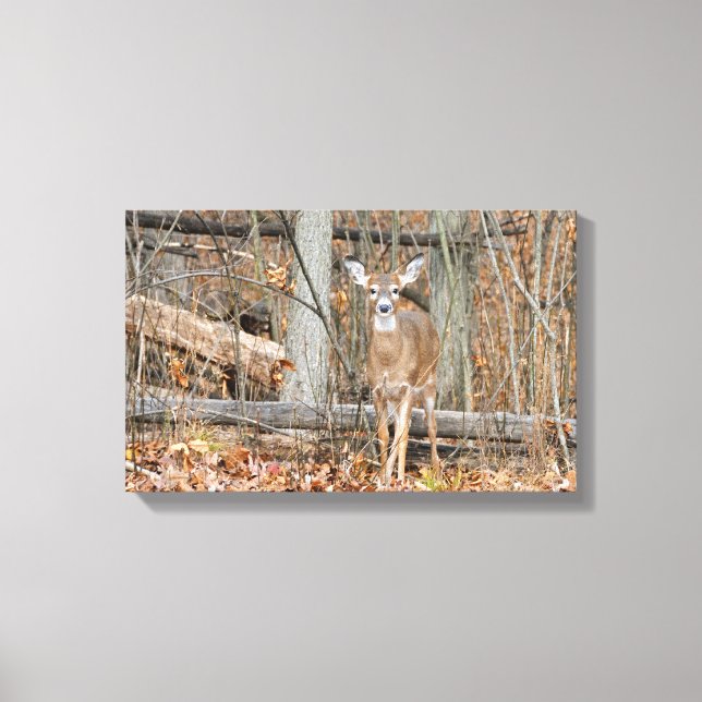 Impressão Em Tela Precioso (Frente)