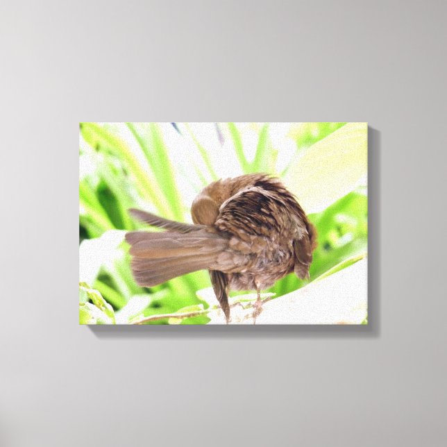 Impressão Em Tela Preening de Ave Preto (Frente)