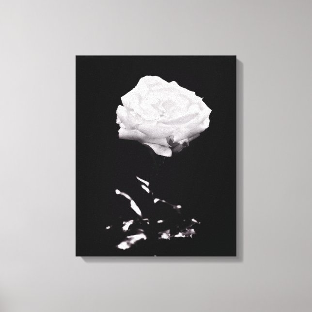 Impressão Em Tela Preto e Branco Belo Rosa Fechamento (Frente)