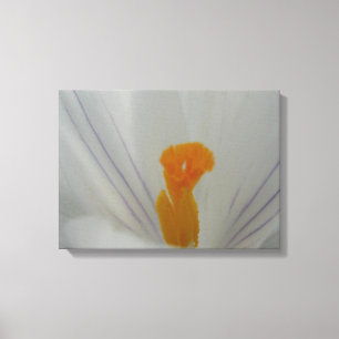 Impressão Em Tela Primavera