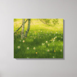 Impressão Em Tela Primavera Daffodils