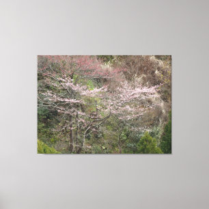 Impressão Em Tela Primavera em Kyoto, Japão em um