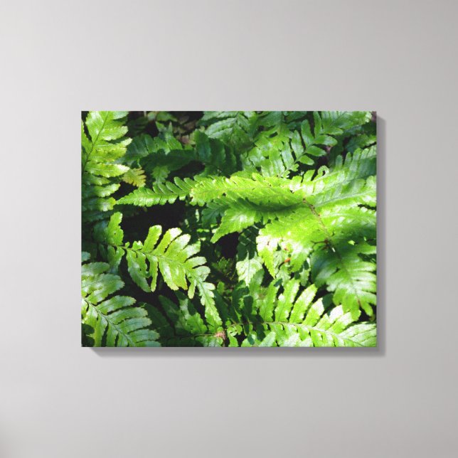 Impressão Em Tela Primavera Green Ferns (Frente)