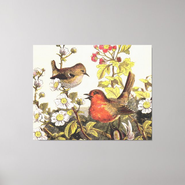 Impressão Em Tela Primavera Robin Birds Red Birds (Frente)