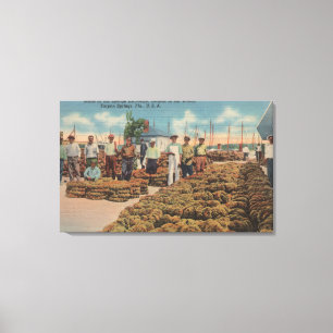 Impressão Em Tela Primaveras de Tarpon, FL - Cena de Troca de Esponj