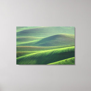 Impressão Em Tela primaveras de trigo na colinas da Paleira