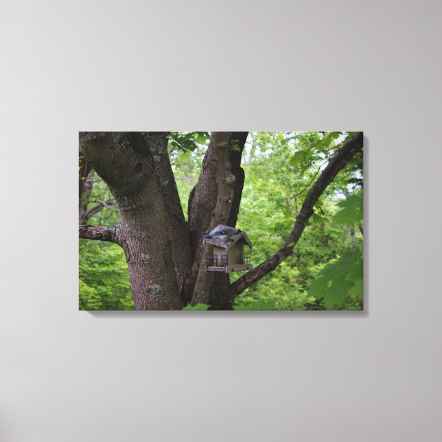 Impressão Em Tela Procurando uma mordida para comer (Frente)