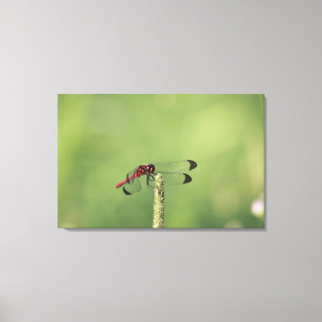 Impressão Em Tela Província de Yamanashi, Honshu, Japão (Frente)