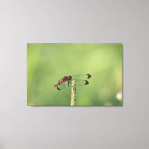 Impressão Em Tela Província de Yamanashi, Honshu, Japão