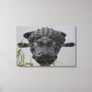 Impressão Em Tela Próximo e pessoal