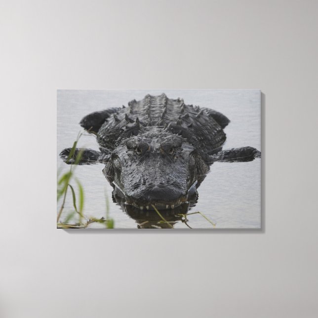 Impressão Em Tela Próximo e pessoal (Frente)