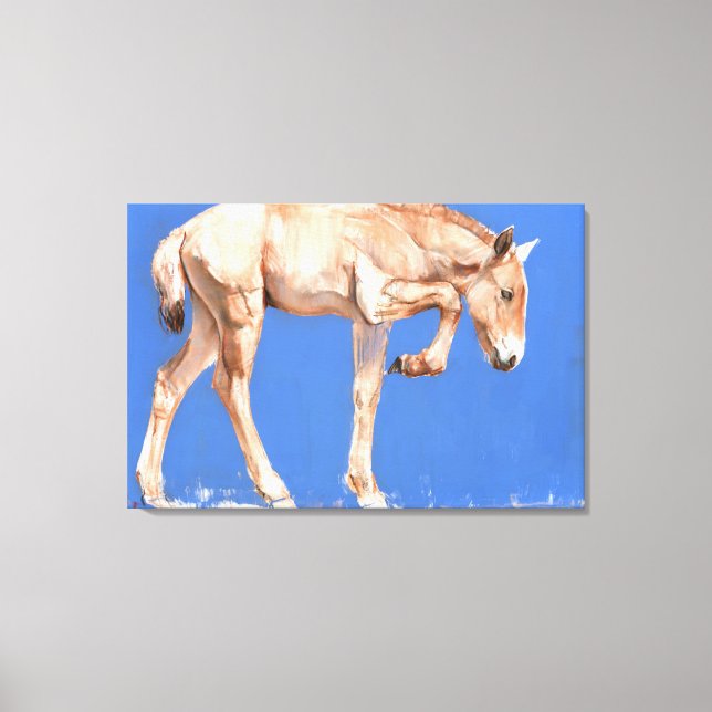 Impressão Em Tela Przewalski Foal 2012 (Frente)