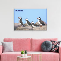 Puffins Atlântico