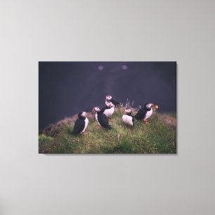 Impressão Em Tela Puffins Atlântico