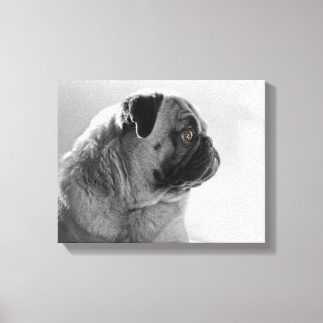 Impressão Em Tela Pug no perfil (Frente)