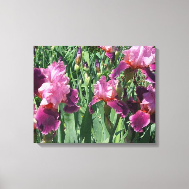Impressão Em Tela Purple Irises Primavera Floral (Frente)