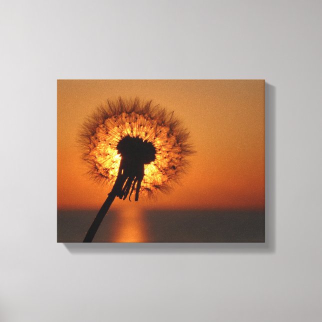 Impressão Em Tela Pusteblume, Dandelion/ (Frente)