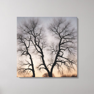 Impressão Em Tela Quadro Árvore seca no deserto