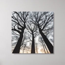 Impressão Em Tela Quadro Árvore seca no deserto