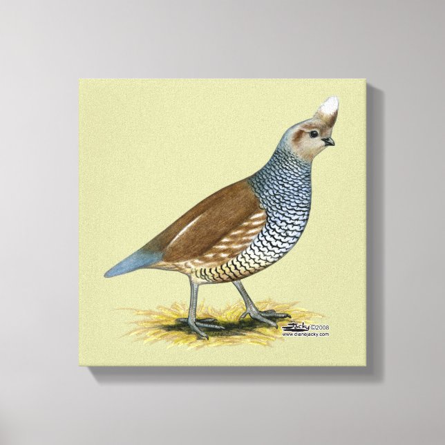 Impressão Em Tela Quail escalável (Frente)