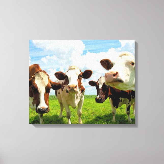 Impressão Em Tela Quatro vacas batendo papo (Frente)