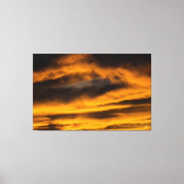 Impressão Em Tela queimada de águia (Frente)