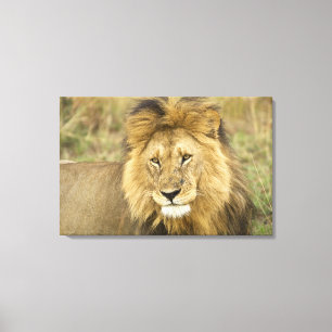 Impressão Em Tela Quênia Masai Mara