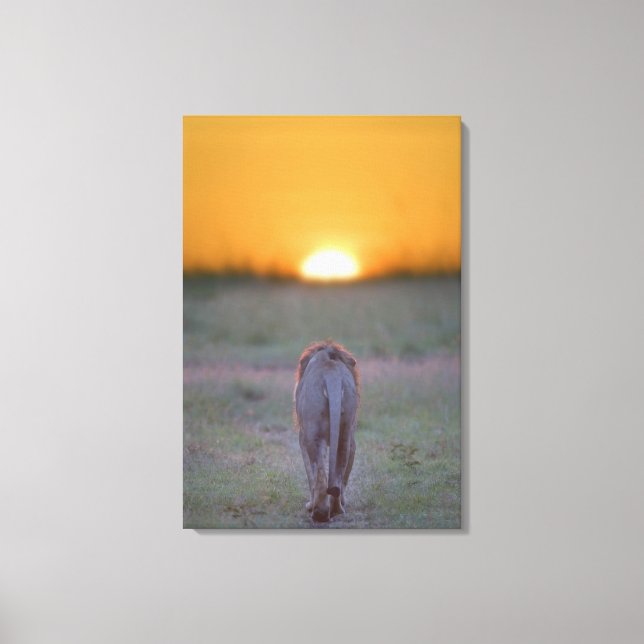 Impressão Em Tela Quênia, Masai Mara 2 (Frente)