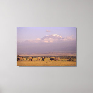 Impressão Em Tela Quênia: Parque Nacional de Amboseli, Elefantes